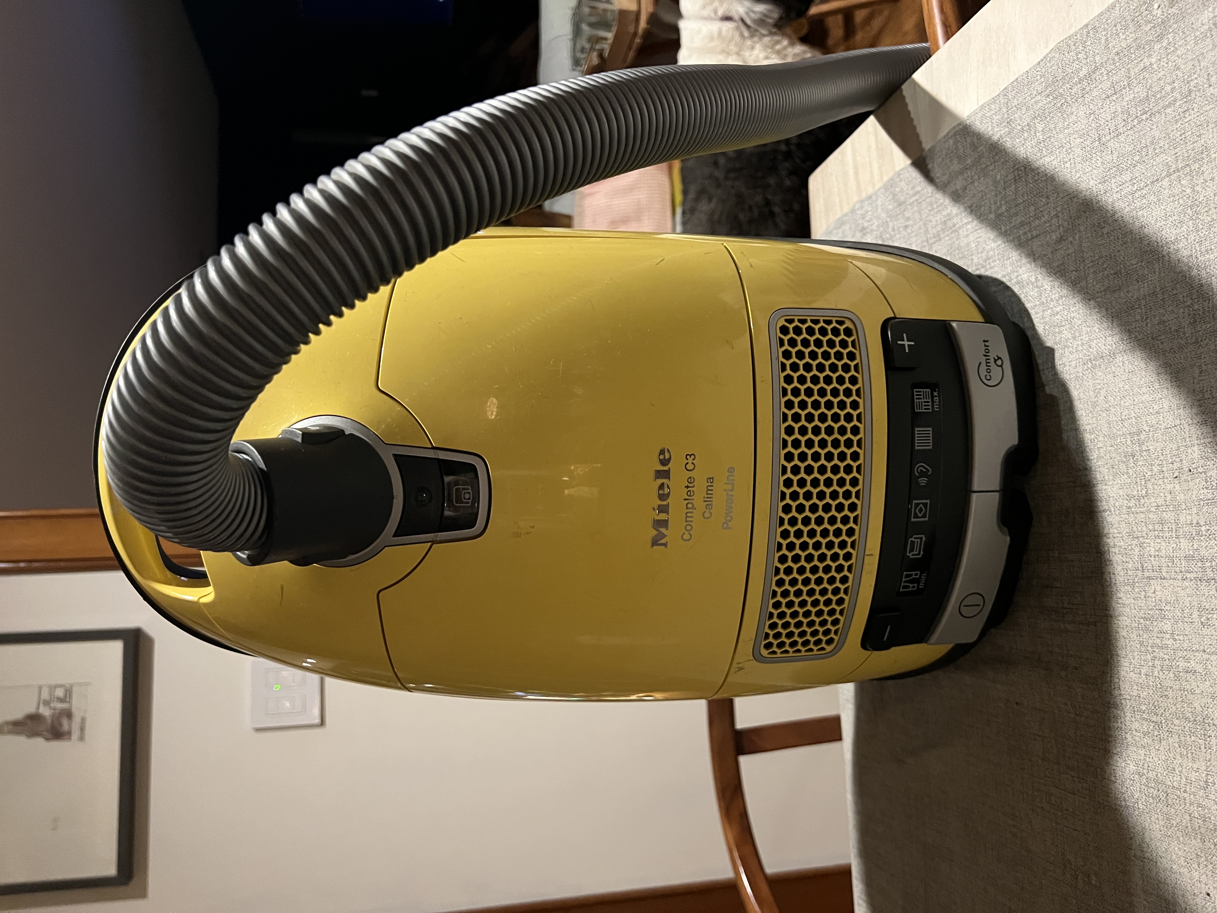 Miele Complete C3 Calima PowerLine canister vacuum in curry-yellow, the first household record at New Hope.
