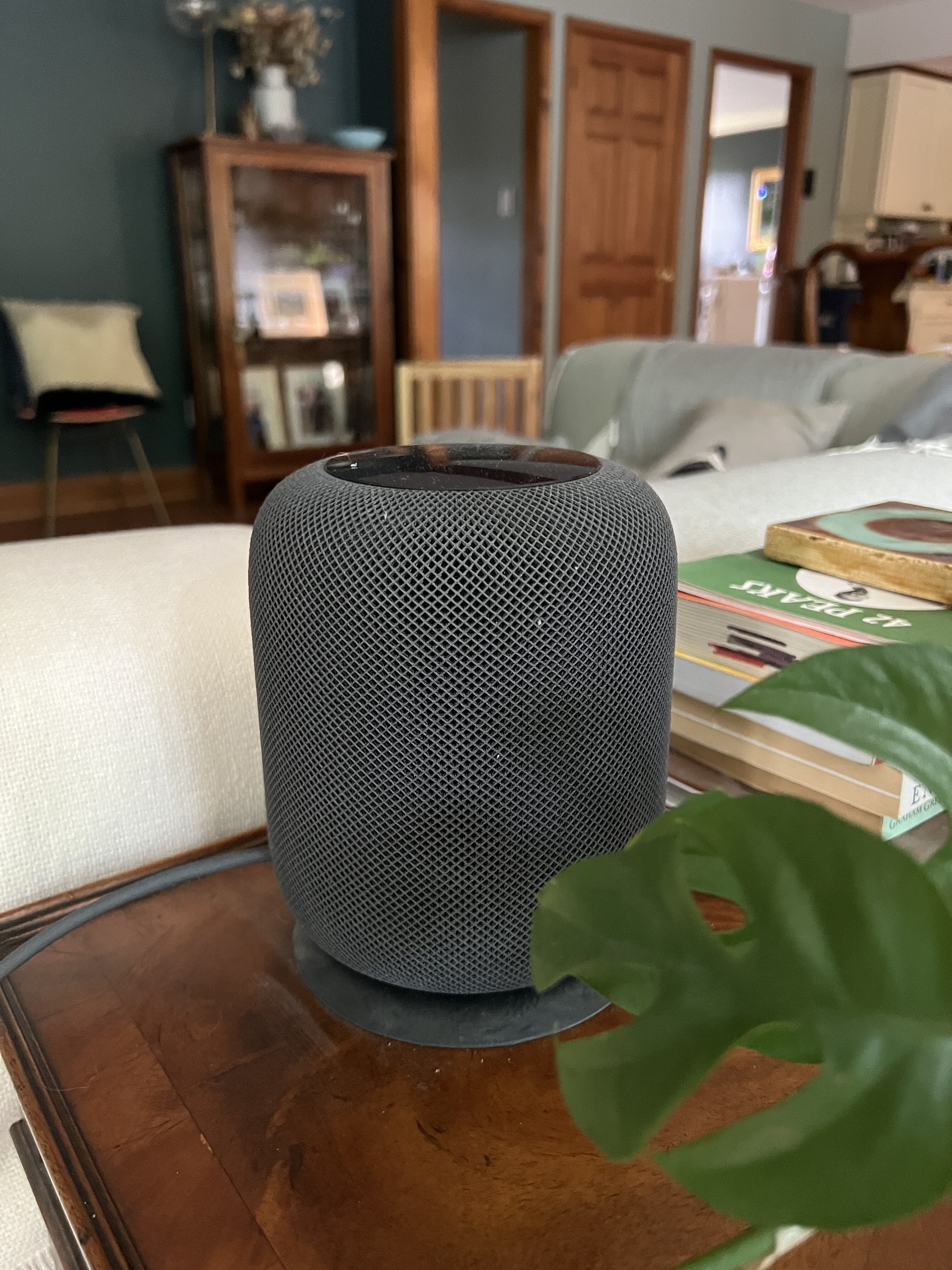 Apple HomePod (1st gen, A1639) in space-grey on a walnut side table, monstera plant leaf in the foreground — back in service after Feb 2026 sb-diode repair by Nic's Fix LLC.