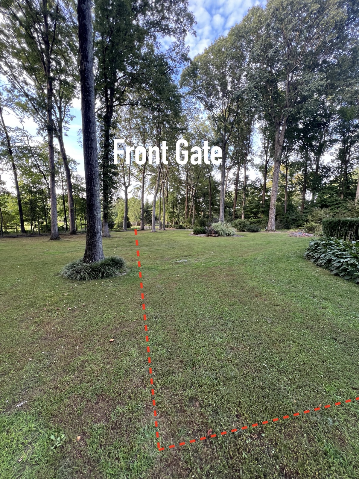 Open lawn with tall trees, a red dashed line crossing from the lower right to a gate and fence in the tree line, labelled Front Gate.